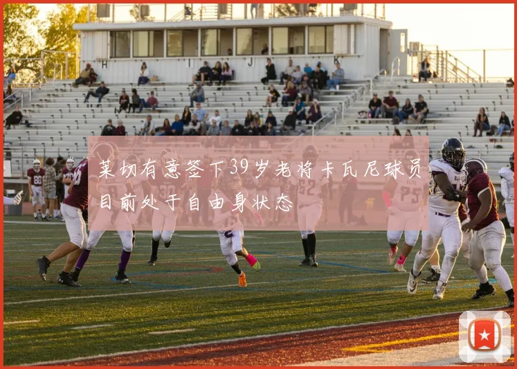 莱切有意签下39岁老将卡瓦尼球员目前处于自由身状态